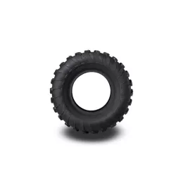Tire DATEX 22x10-10 P420 4PR TL 39J E - photo 3
