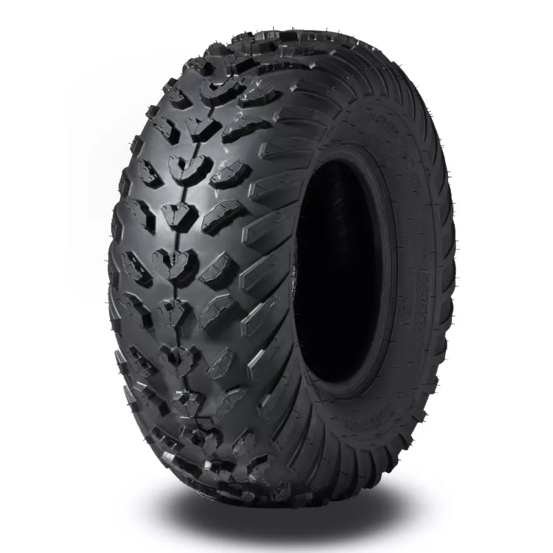 Tire DATEX 22x7-10 P421 4PR TL 28J E - main image