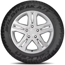 FALKEN 225/65 R17 WILDPEAK A/T AT3WA 102H 3PMSF - detale