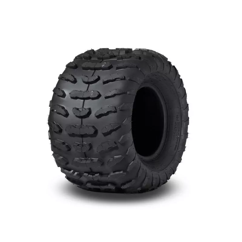 Tire DATEX 22x10-10 P420 4PR TL 39J E - main image